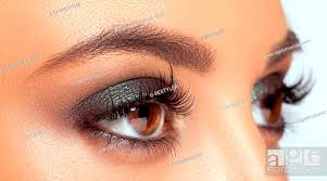 brown eye makeup beautiful eyes make