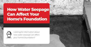 How Water Seepage Can Affect Your Home