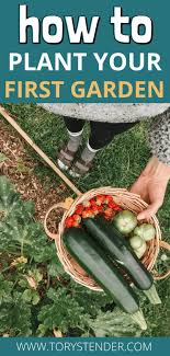 Guide To Plant Your First Garden