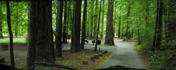 Maybe you would like to learn more about one of these? Grizzly Creek Redwood State Park Campground Bridgeville California Womo Abenteuer