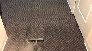 grout cleaning carpet steam cleaning
