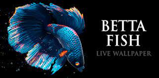 betta fish live wallpaper v1 4 mod