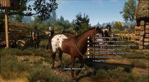 Witcher 3 horse