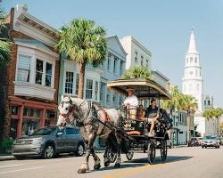 Carriage Tour in Charleston