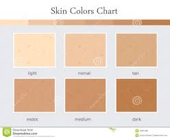 Skin Colors Chart Stock Vector Illustration Of Skin 44691360