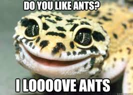 Gleeful Gecko memes | quickmeme via Relatably.com