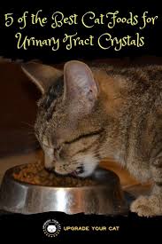 There are some cat food that is good for the overall urinary health of cats. Best Cat Food For Urinary Tract Crystals 4 Leading Brands Upgrade Your Cat