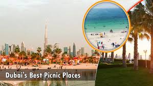 top 15 dubai s best picnic places for a