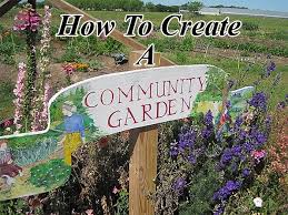 Community Gardening Garden