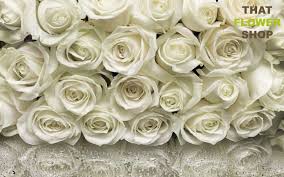 what is the meaning behind white roses