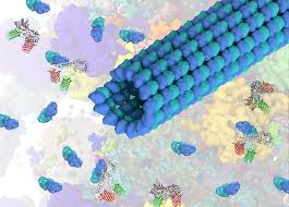 Protein Folding Landscapes Inside Cells