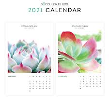 Just in case you like to plan ahead like me, here's your 2021 free printable calendars and yes, you can completely customize them! 2021 Monthly Succulent Colorful Calendar Free Printable 2021 Plants Download Succulents Box