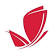 LightRx Face & Body logo