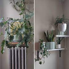 14 Plant Shelf Ideas To Liven Up Any
