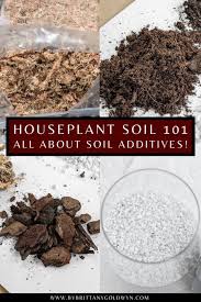 Soil 101 Your Guide To Cultivating The