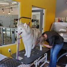 What is the most dreaded chore most pet owners face? Best Cheap Dog Grooming Near Me June 2021 Find Nearby Cheap Dog Grooming Reviews Yelp
