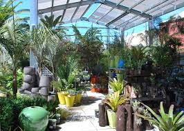 Retail Therapy Flora Grubb Gardens