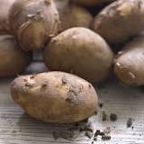 What is the best all round potato?