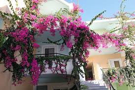 decorate your balcony like those in greece