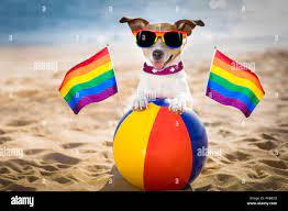Gay dog hi-res stock photography and images - Alamy
