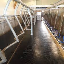 Rubber gym flooring anti fatigue mats rubber tiles gym, paver, deck rubber flooring rolls horse stall mats, equine rubber rubber gym a sound reducing rubber mat is available with proven results against dropped weights. Rubber Floor Mat Delta Diam 16 Bioret Agri For Cow Breeding Non Slip Grooved