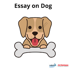 essay on my pet dog in english for