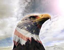 eagle u s a eagle bald hd wallpaper