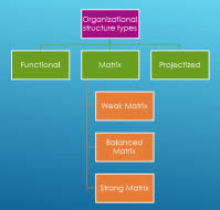 Projectized Organizational Structure Advantages And