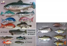 Fish Chart In All Supermarket