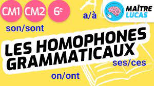 Homophones grammaticaux CM1 - CM2 - 6ème - Cycle 3 - Français - Grammaire -  YouTube