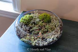 Create An Indoor Moss Garden Natural