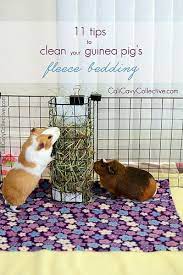 fleece for guinea pig cage diy
