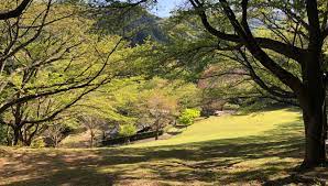 松阪市森林公園 | 三重県松阪市の自然公園・キャンプ場