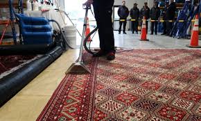 carpet cleaning christchurch east