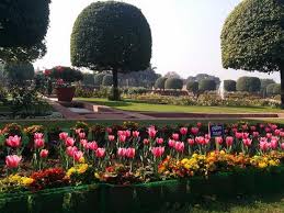 mughal garden visit delhi flat 25 off