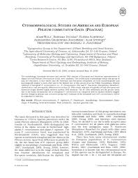 Cytomorphological studies on American and European Phleum