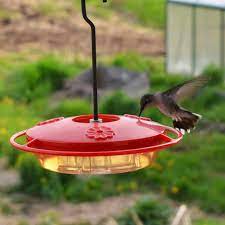 homemade hummingbird food recipe and