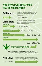 22 Rare Marijuana Drug Test Detection Chart