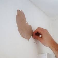How To Mist Coat And Paint New Plaster