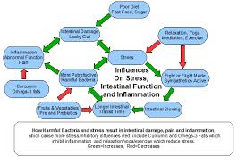 Mood Does It Affect Gut Symbiont Health And Intestinal