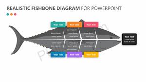 Realistic Fishbone Diagram For Powerpoint Pslides