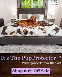 Memory Foam Dog Bed Waterproof Blanket