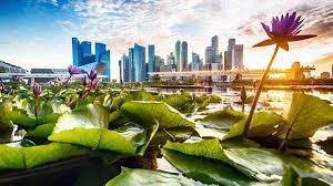 Singapore, малайское singapura), республика сингапур (англ. Bbc Travel Singapore S Endless Pursuit Of Cleanliness