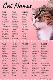 Telling male and female cats apart can be difficult for those who don't know what they're looking for. This List Of Cat Names Offers Ideas For Male And Female Cats Whether You Re Looking For Classic Cute Funny Or Unisex C Katzen Namen Katzennamen Pferdenamen