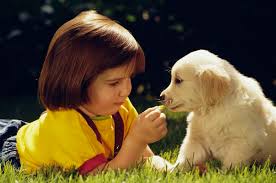 Képtalálat a következőre: „gyerek kutya barátság”