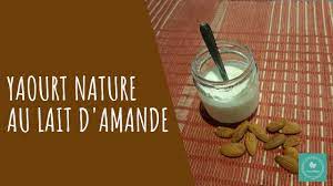 yaourt nature au lait d amande you