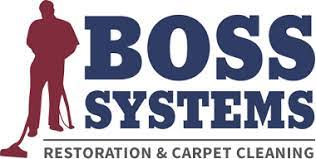 carpet cleaning services in highland