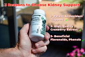 Kidney Support | Nourishing Support for Healthy Kidneys