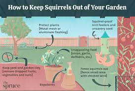 keep squirrels out of your garden