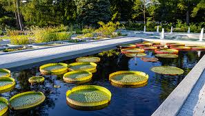 Montreal Botanical Garden Space For Life